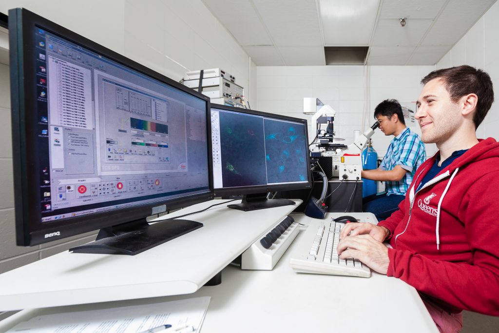 Graduate students working in lab