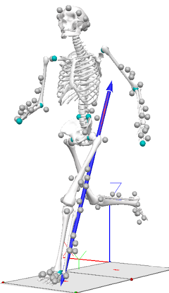 Skeleton with motion sensors
